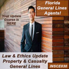  4-hour Law and Ethics Update PC2 - 2-20 and 20-44 Agents and 4-40 CSRs (9hrs credit) (INSCE030FL9j)